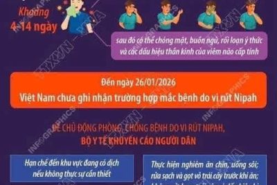 TRƯỜNG TIỂU HỌC NINH GIANG  THÔNG BÁO PHÒNG, CHỐNG DỊCH BỆNH DO VIRUS NIPAH